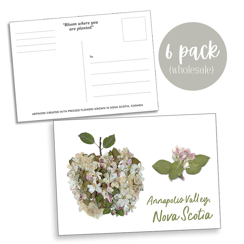 Post Card- 6 Pack Retail Set, Annapolis Valley, Apples