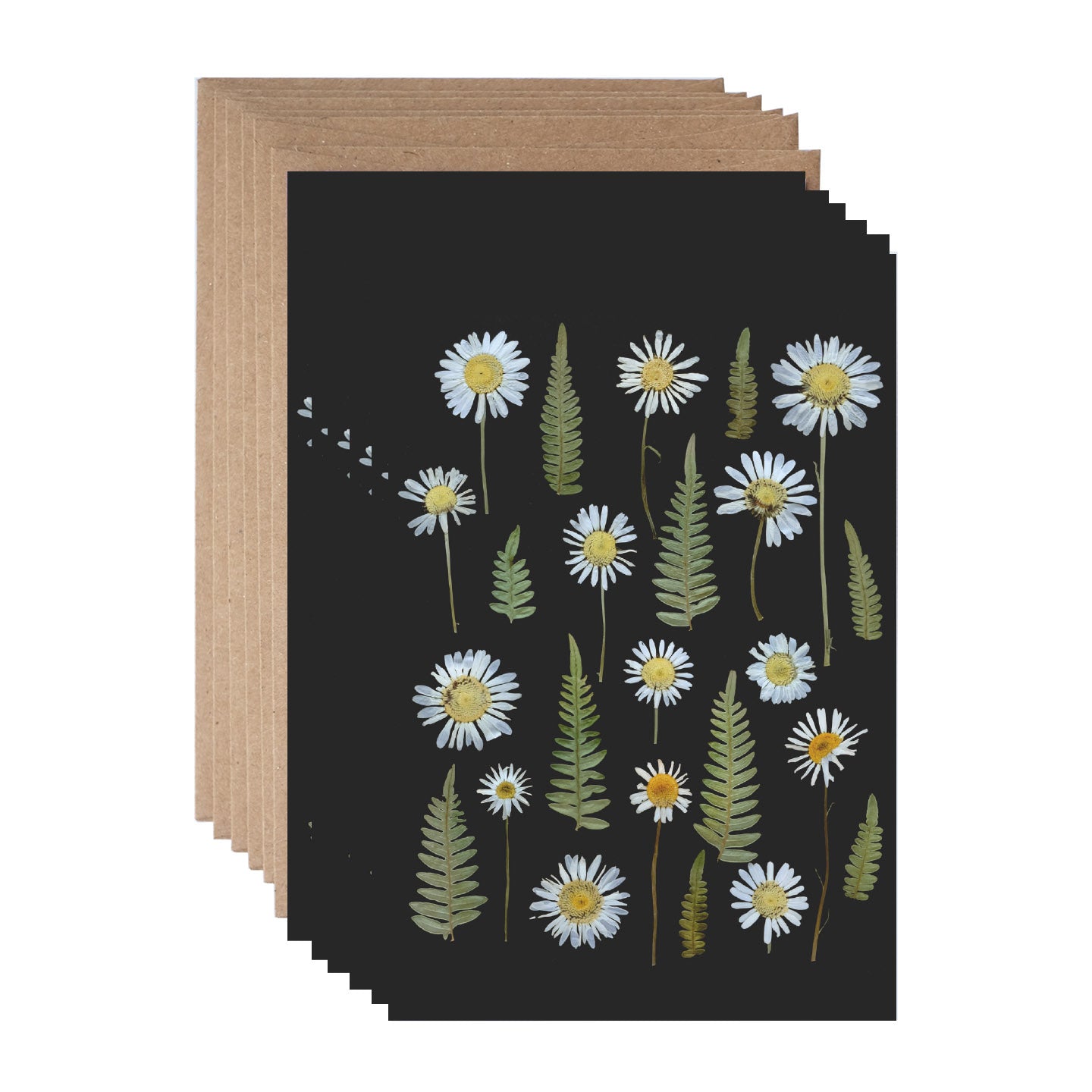 Wild Daisies on Black, Note Card Set