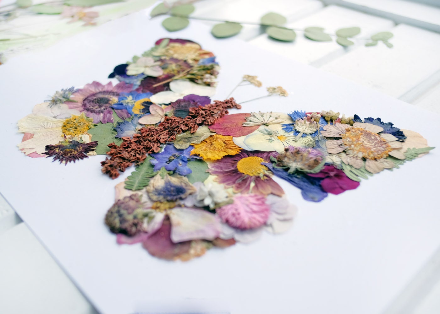 Butterfly, Pressed Flower Art Print