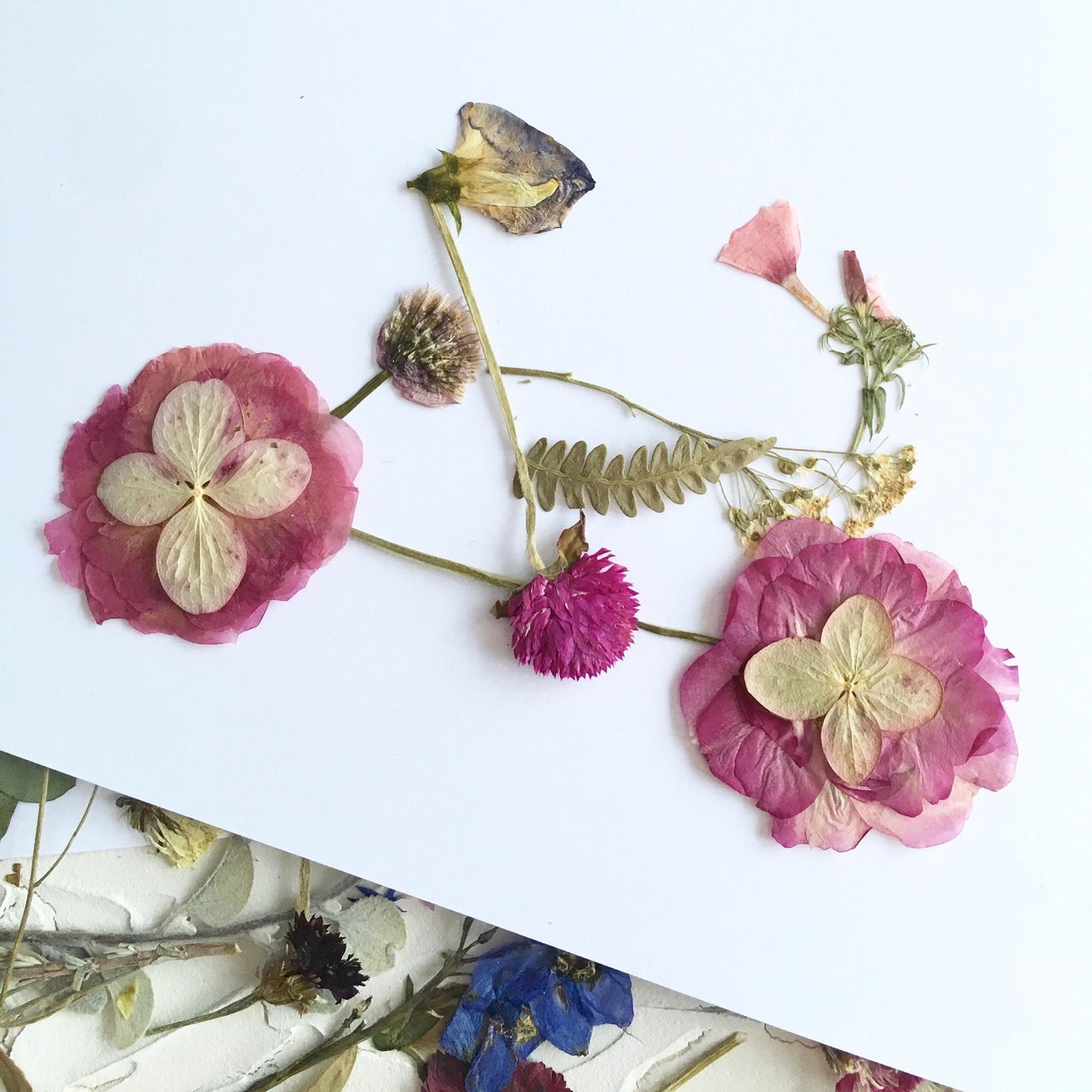 Bike, Pressed Flower Art Print
