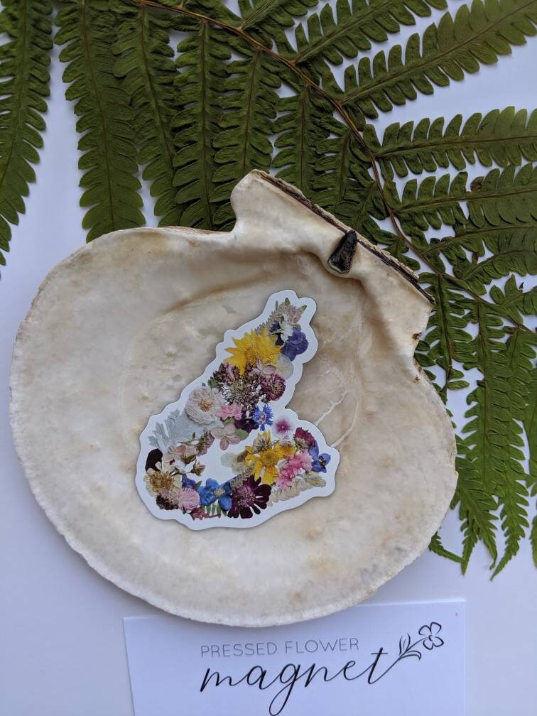 Cape Breton Map Pressed Flower