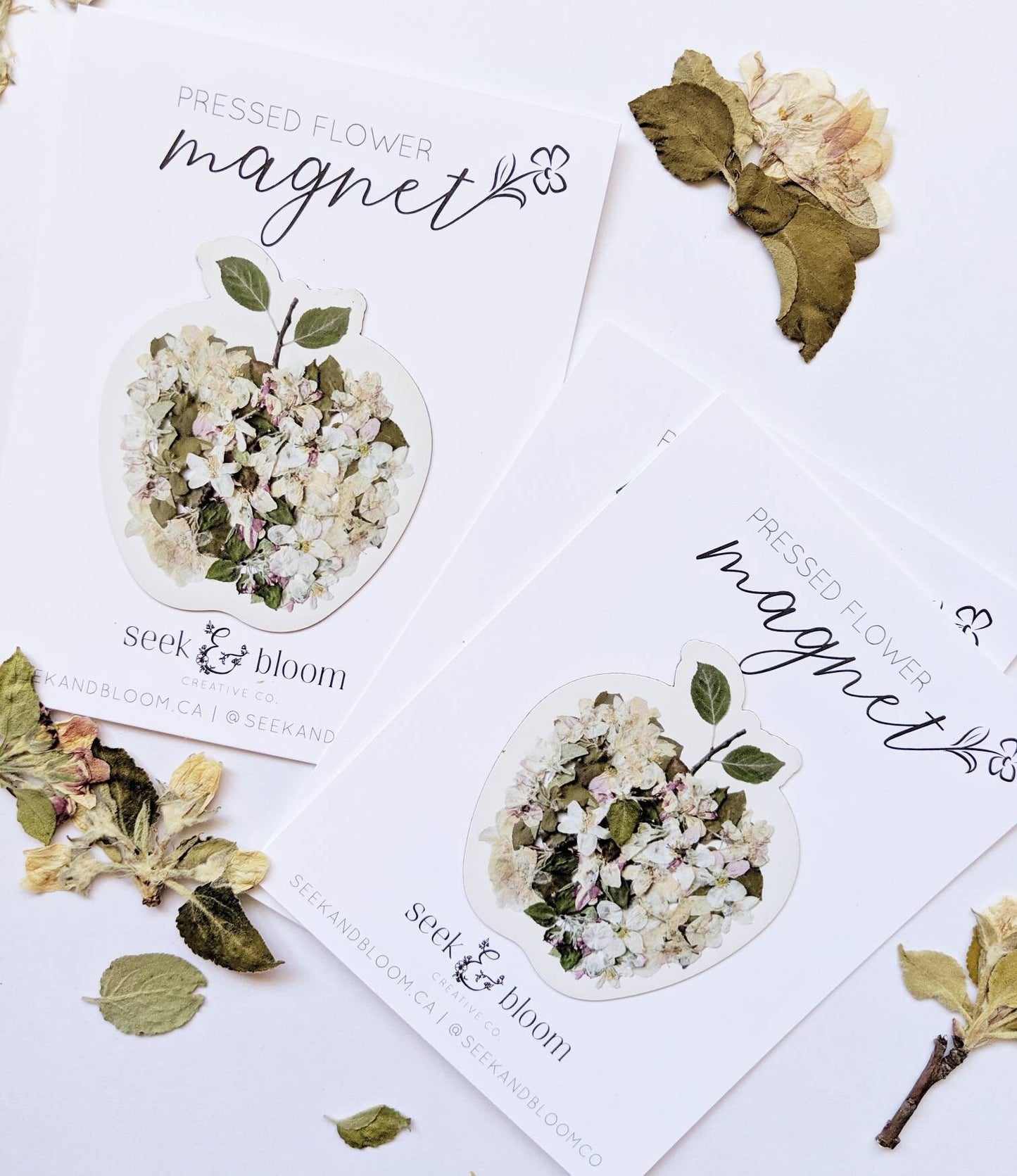 Apple Pressed Apple Blossoms, 3" Magnet