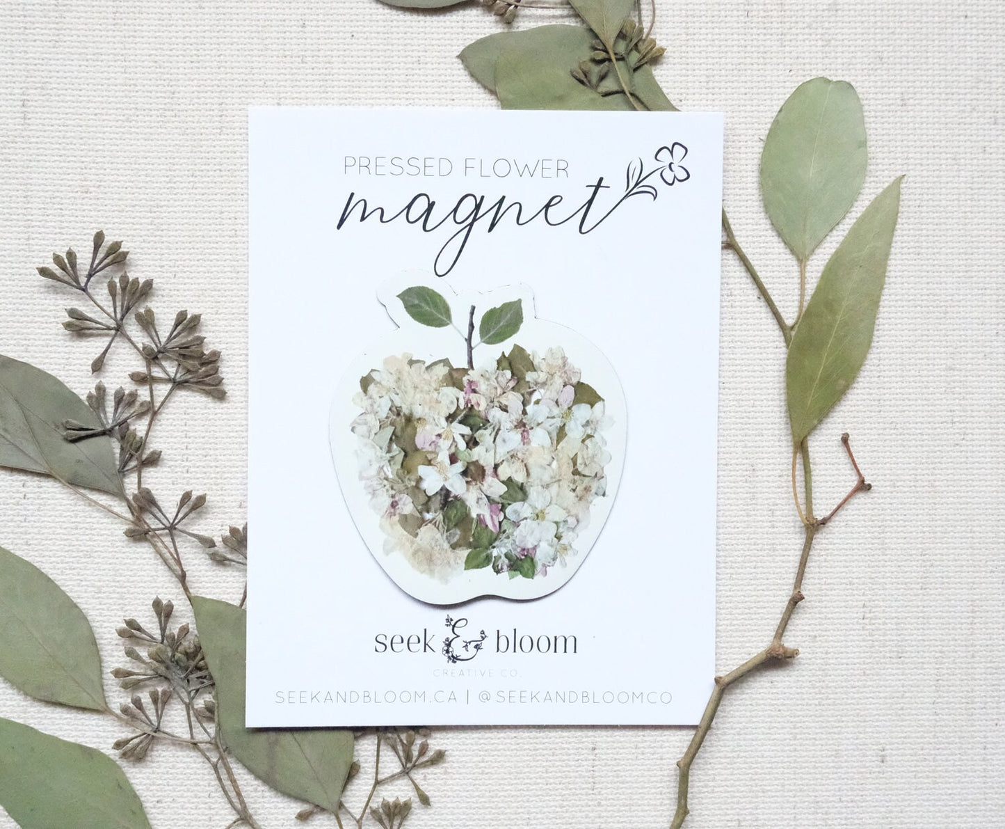 Apple Pressed Apple Blossoms, 3" Magnet