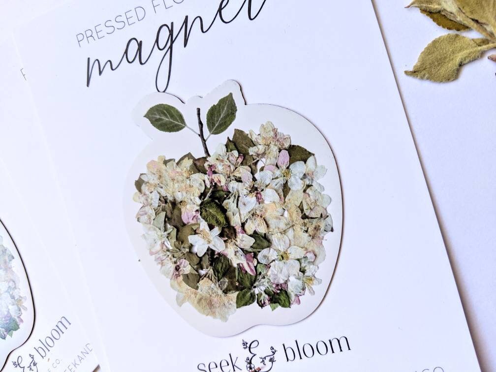 Apple Pressed Apple Blossoms, 3" Magnet