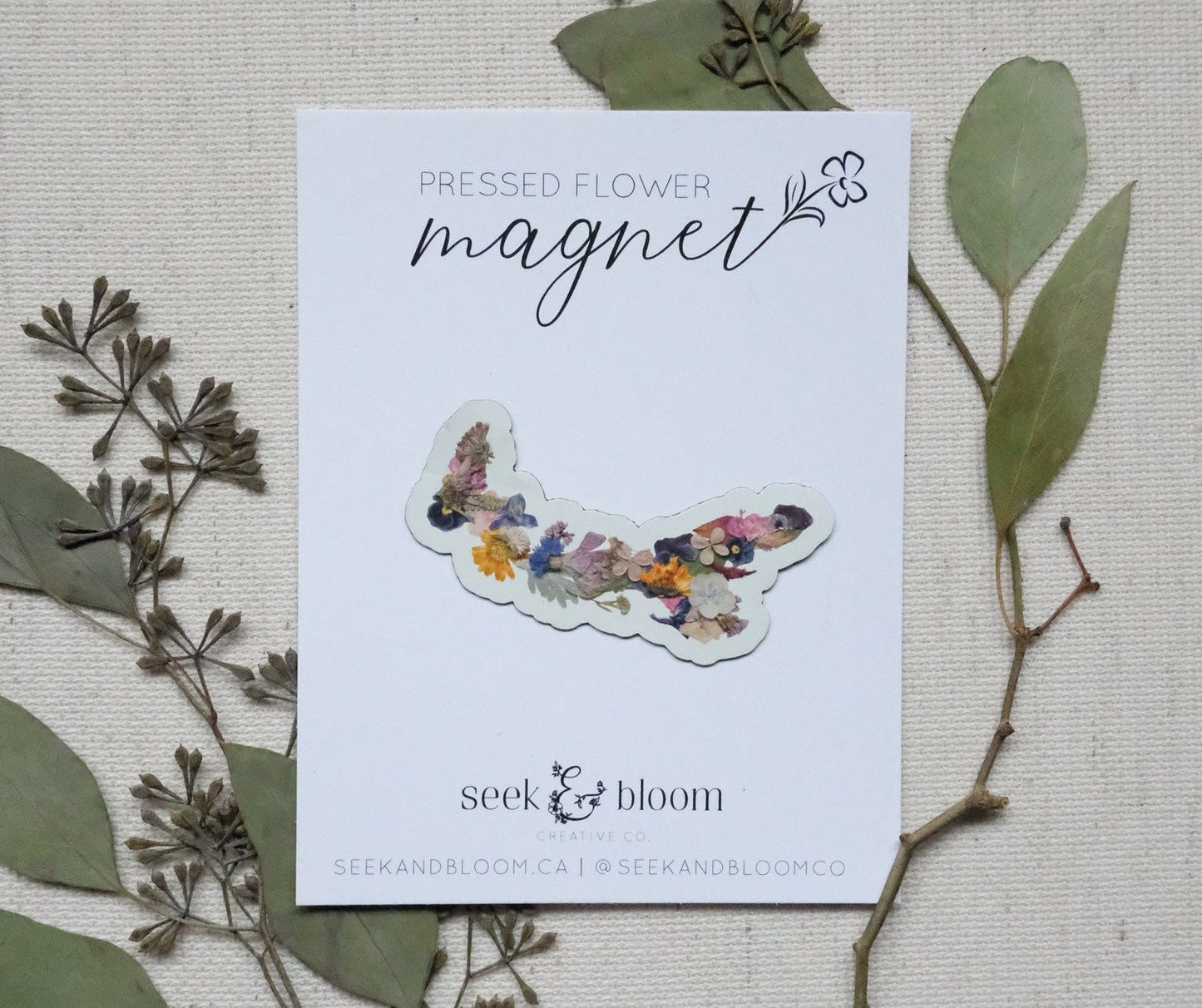 Magnet, 3" Pressed Flower Prince Edward Island