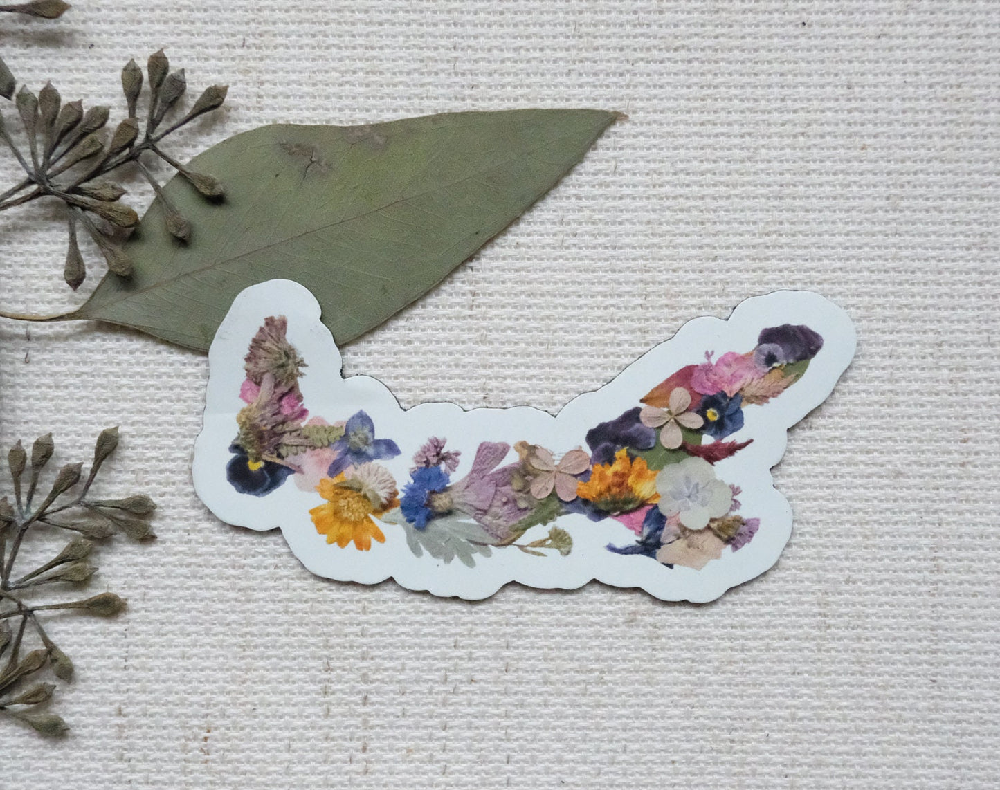 Magnet, 3" Pressed Flower Prince Edward Island