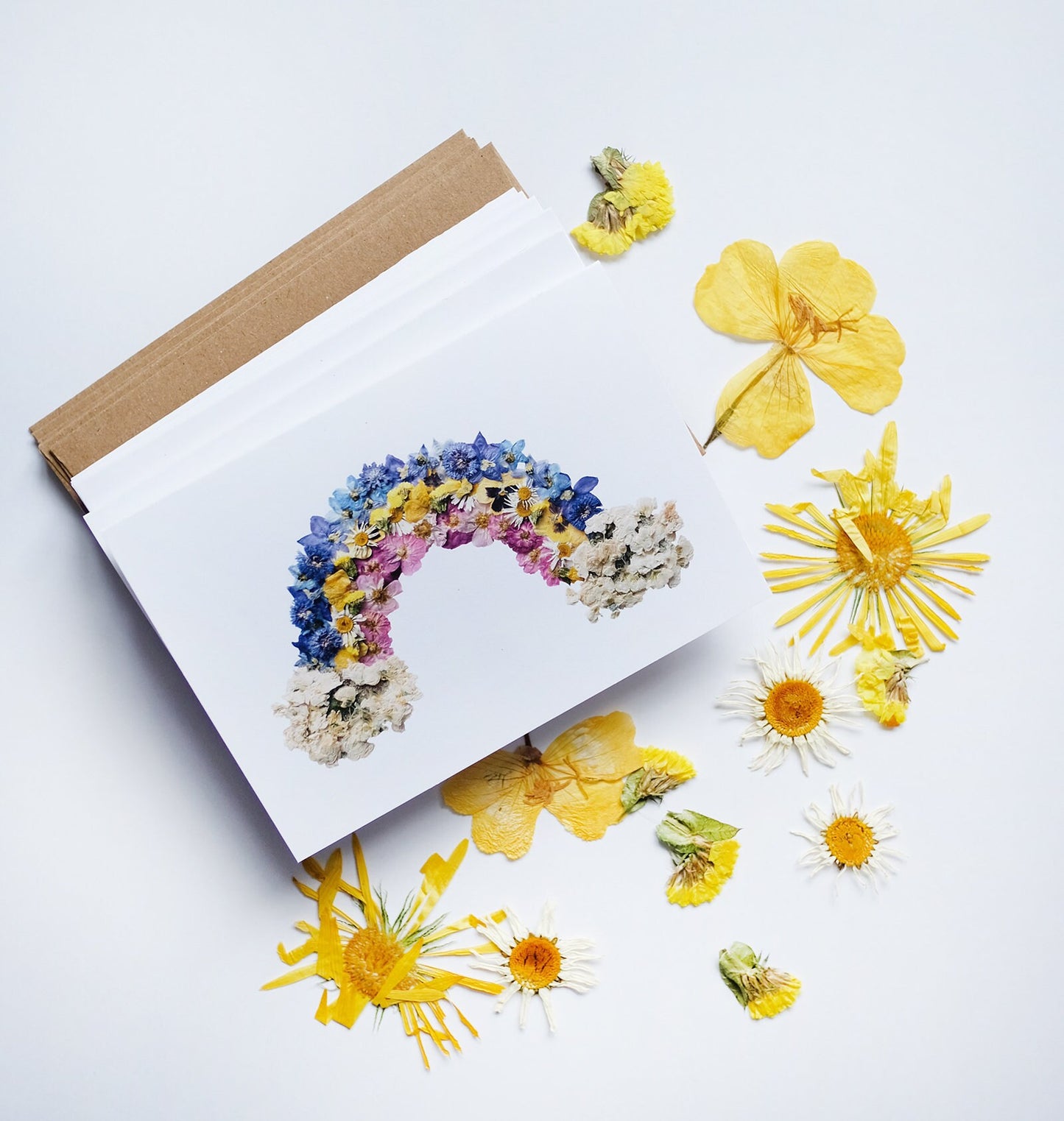 Rainbow, Pressed Flower Note Card Set