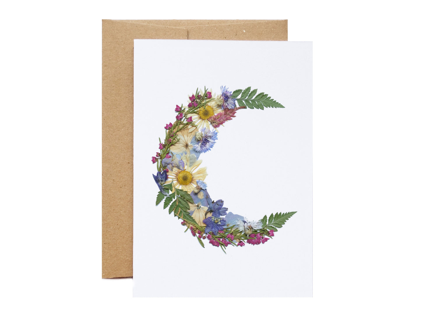 Moon, Pressed Flower Note Card Set