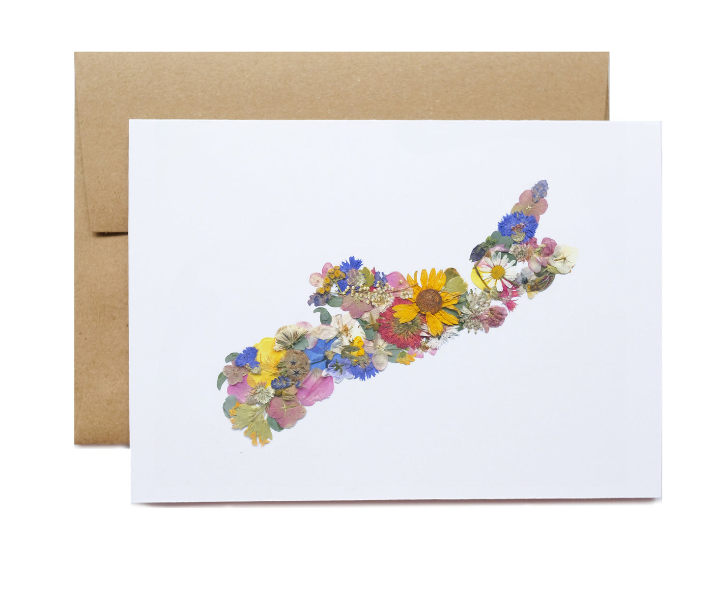 Nova Scotia Flower Map, Note Card Set