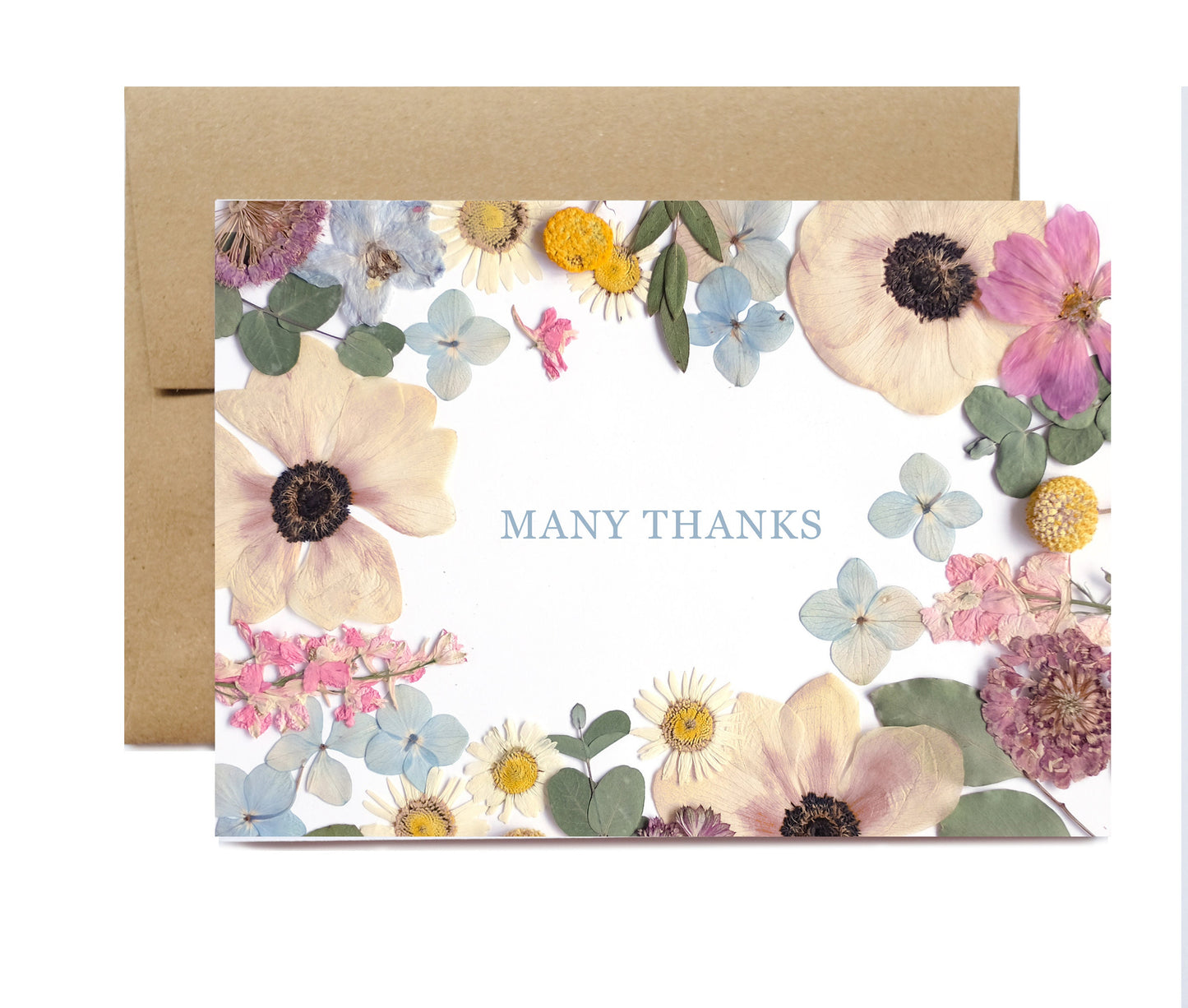 Thank You, Many Thanks Flower Border, Note Card Set