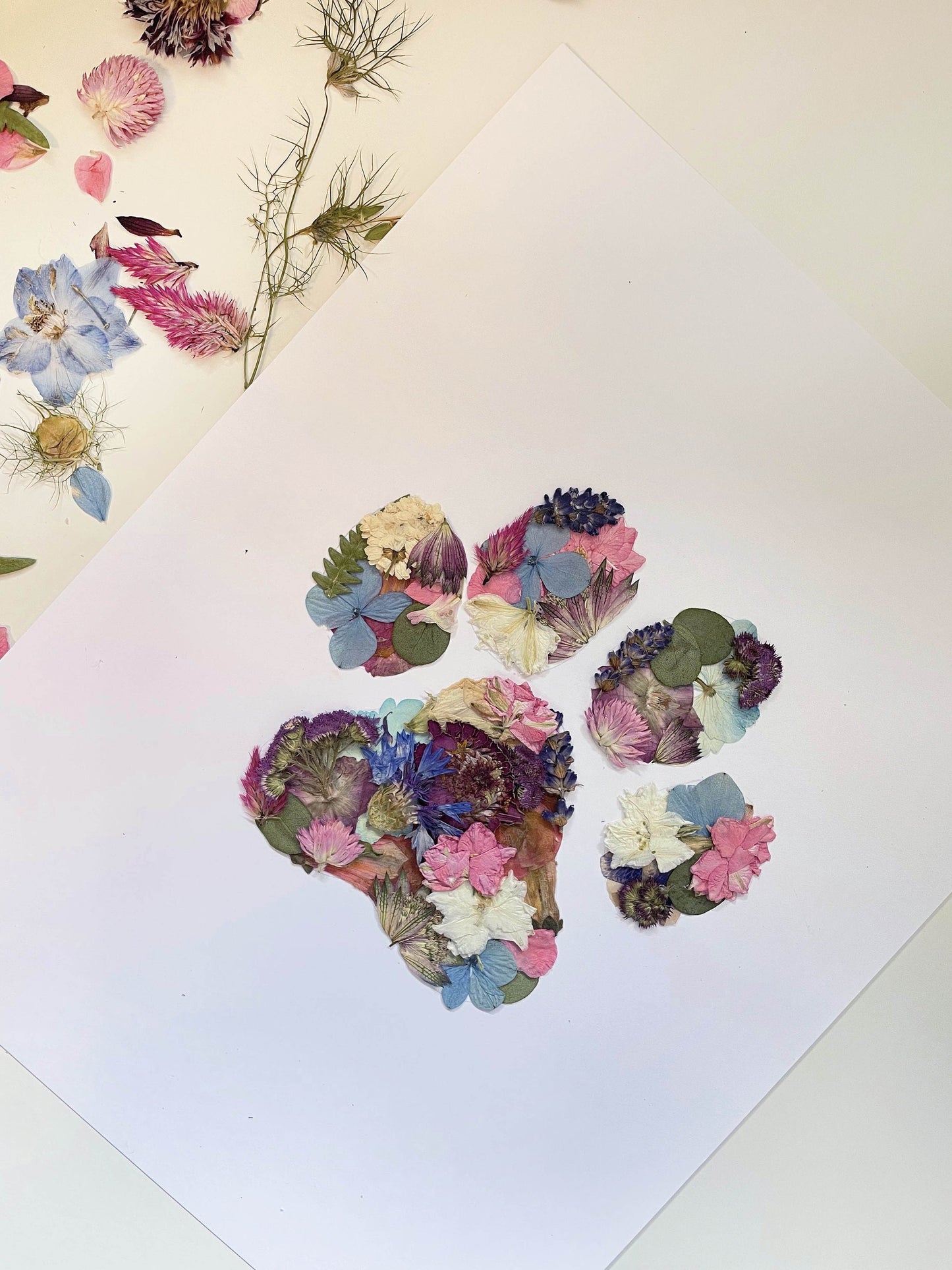 Paw Print, Pressed Flower Art Print