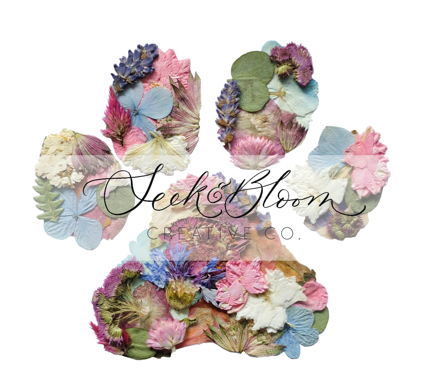 Paw Print Pressed Flowers, Pet Card