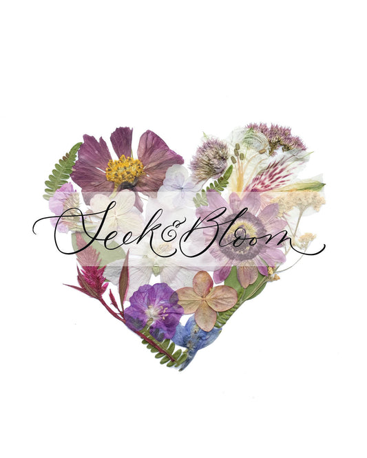 Heart, Pressed Flower Art Print