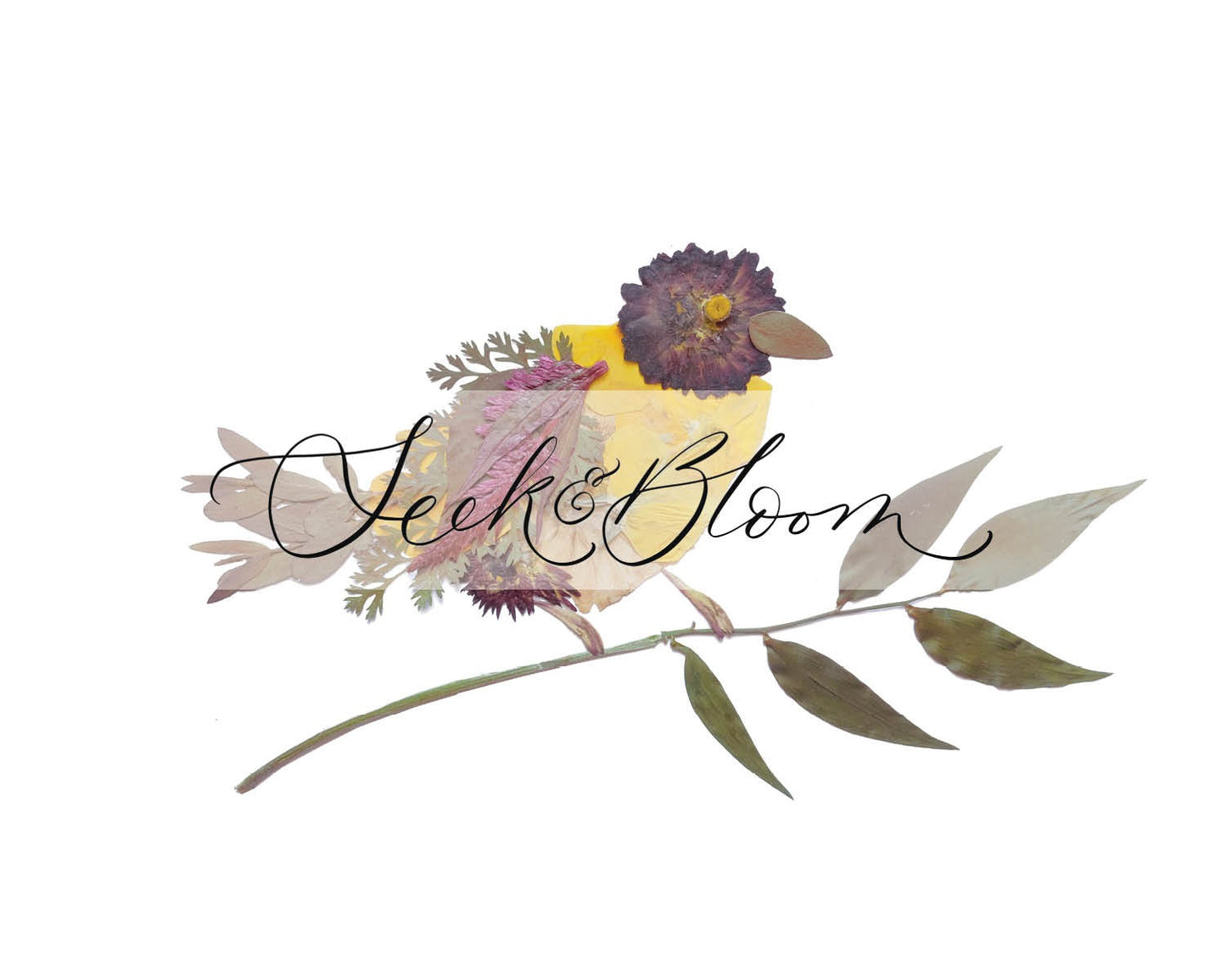 Bird Yellow, Pressed Flower Art Print