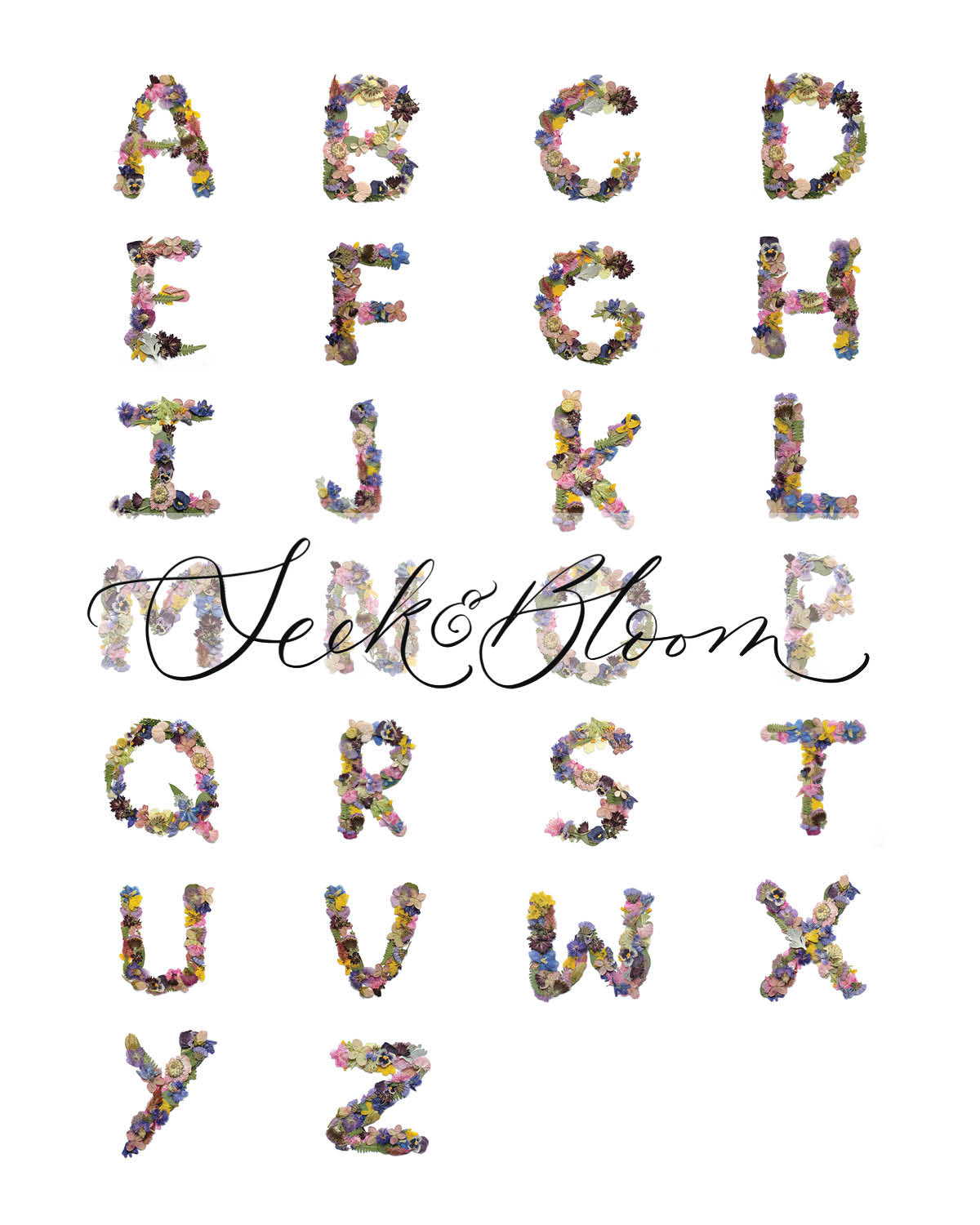 Alphabet Flowers, Pressed Flower Art Print