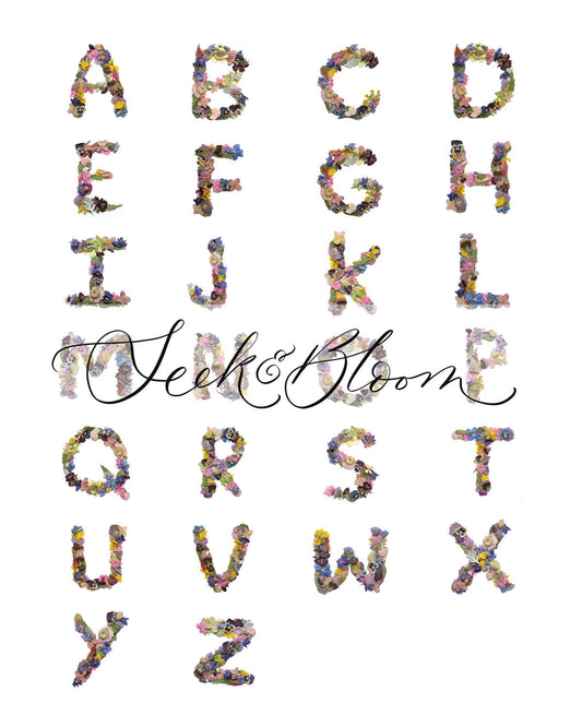 Alphabet Flowers, Pressed Flower Art Print