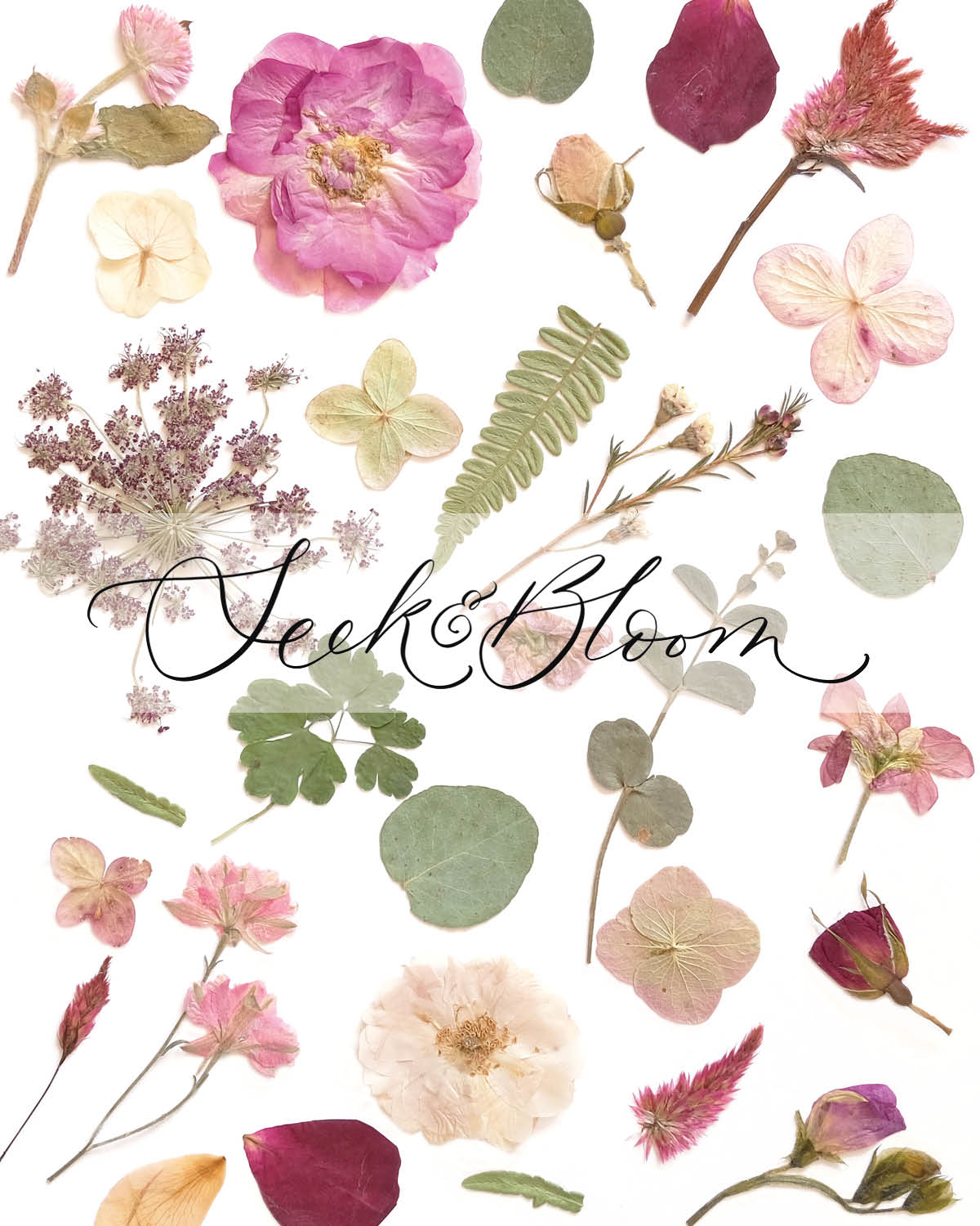 Pink Flower Collage, Pressed Flower 8x10 Art Print