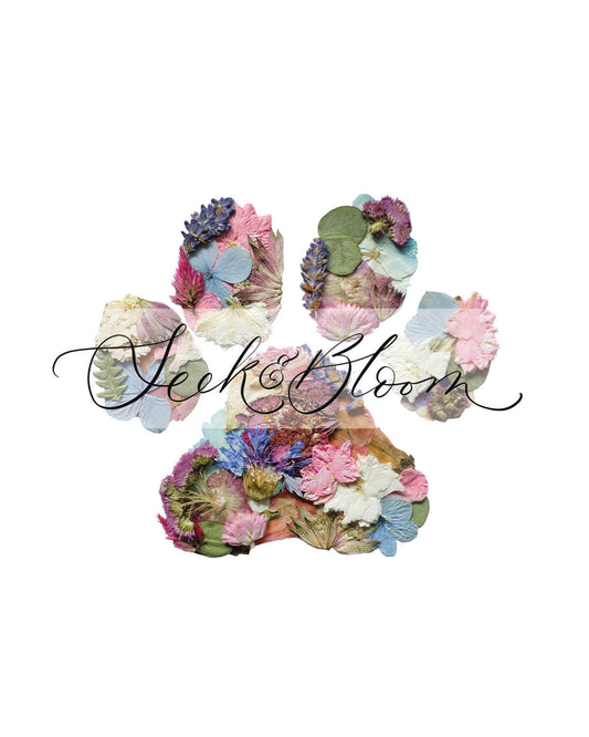 Paw Print, Pressed Flower Art Print