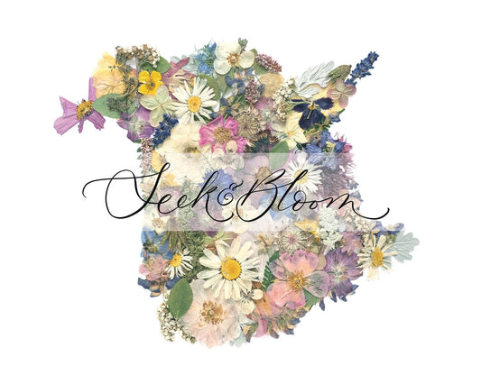 New Brunswick Map, Pressed Flower Art Print