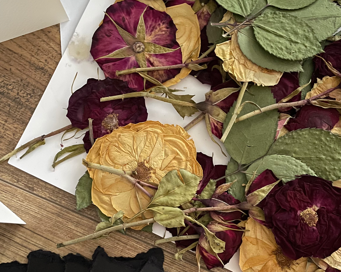 How to Preserve a Rose: Two Simple Ways to Save Your Special Valentine’s Day Blooms