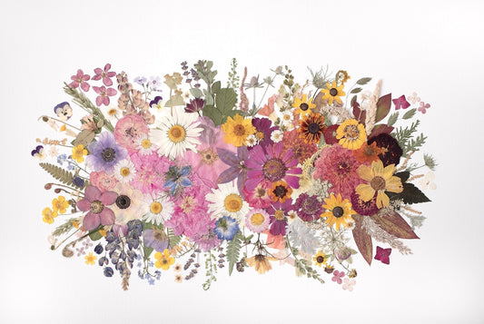 The Seasons Collection "What time leaves behind"