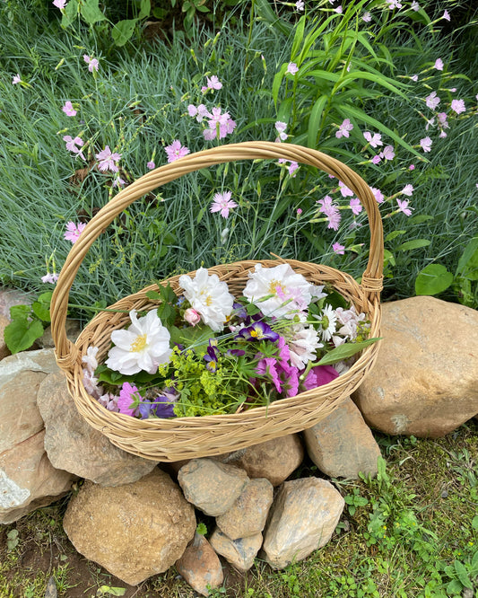 Be Where Your Feet Are - June Relection