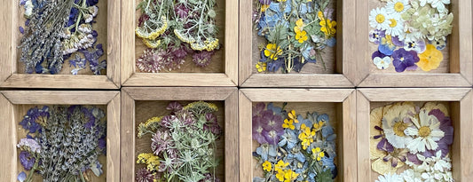 Pressed Flower Garden Art Workshop