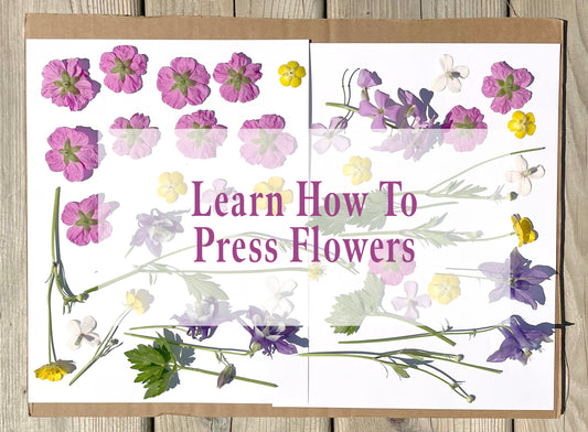 Preserving Flowers From The Garden, Flower Pressing Tips!