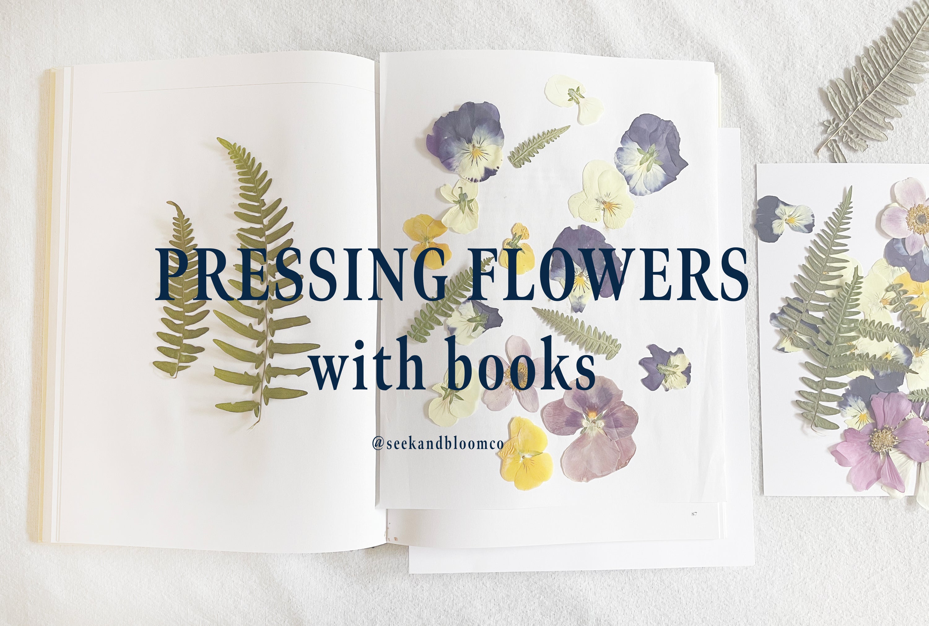 Best tips for using books to press flowers Seek and
