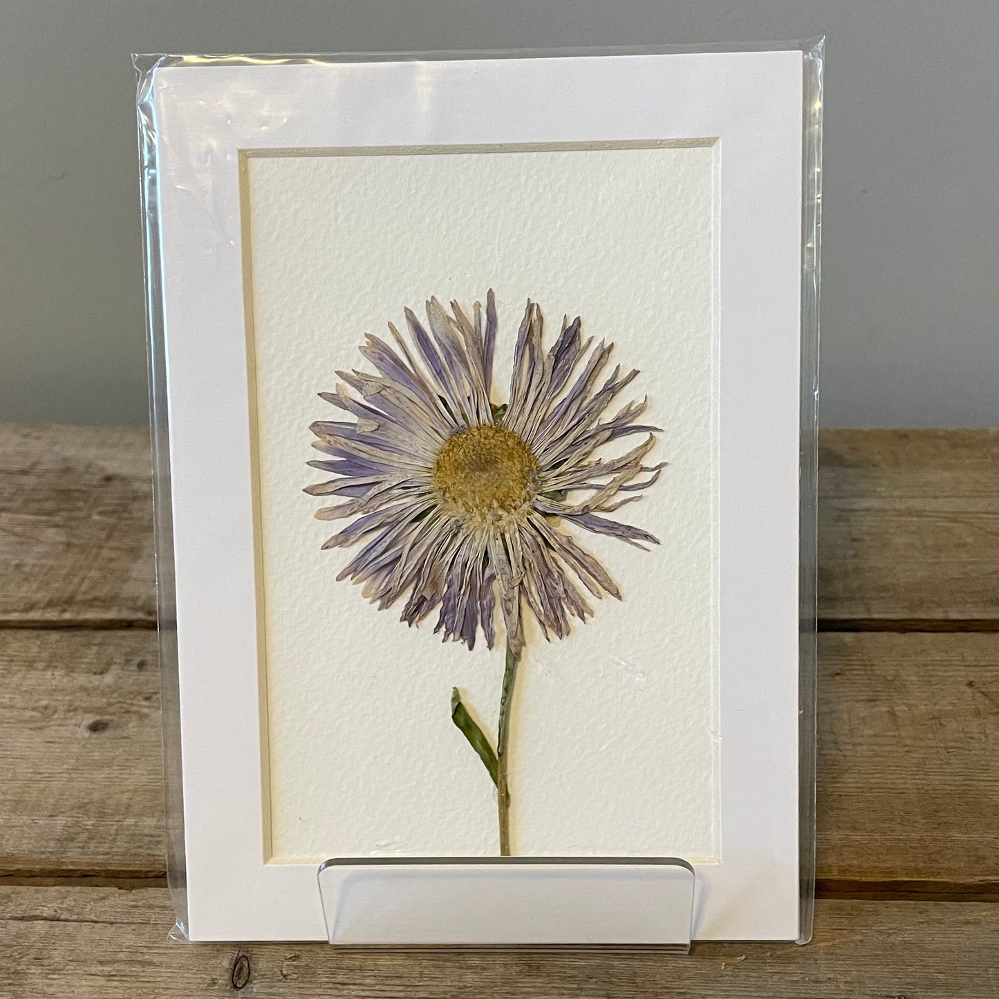 4"x6" Blue Daisy - Mini Original Artwork