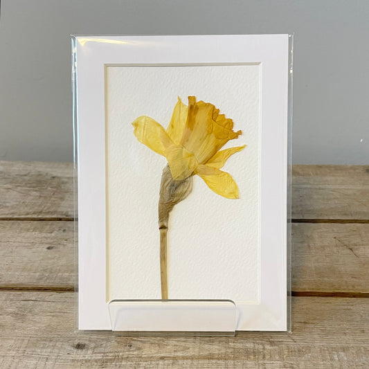 4"x6" Daffodil - Mini Original Artwork