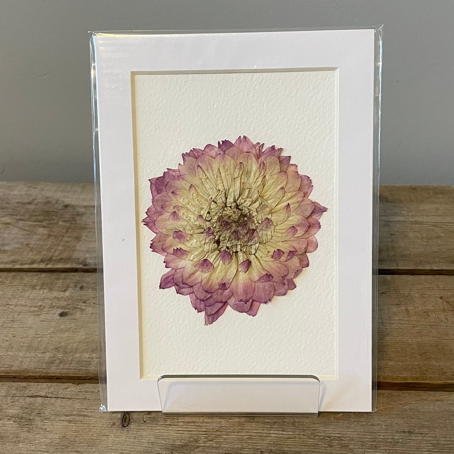 4"x6" Pink Dahlia - Mini Original Artwork