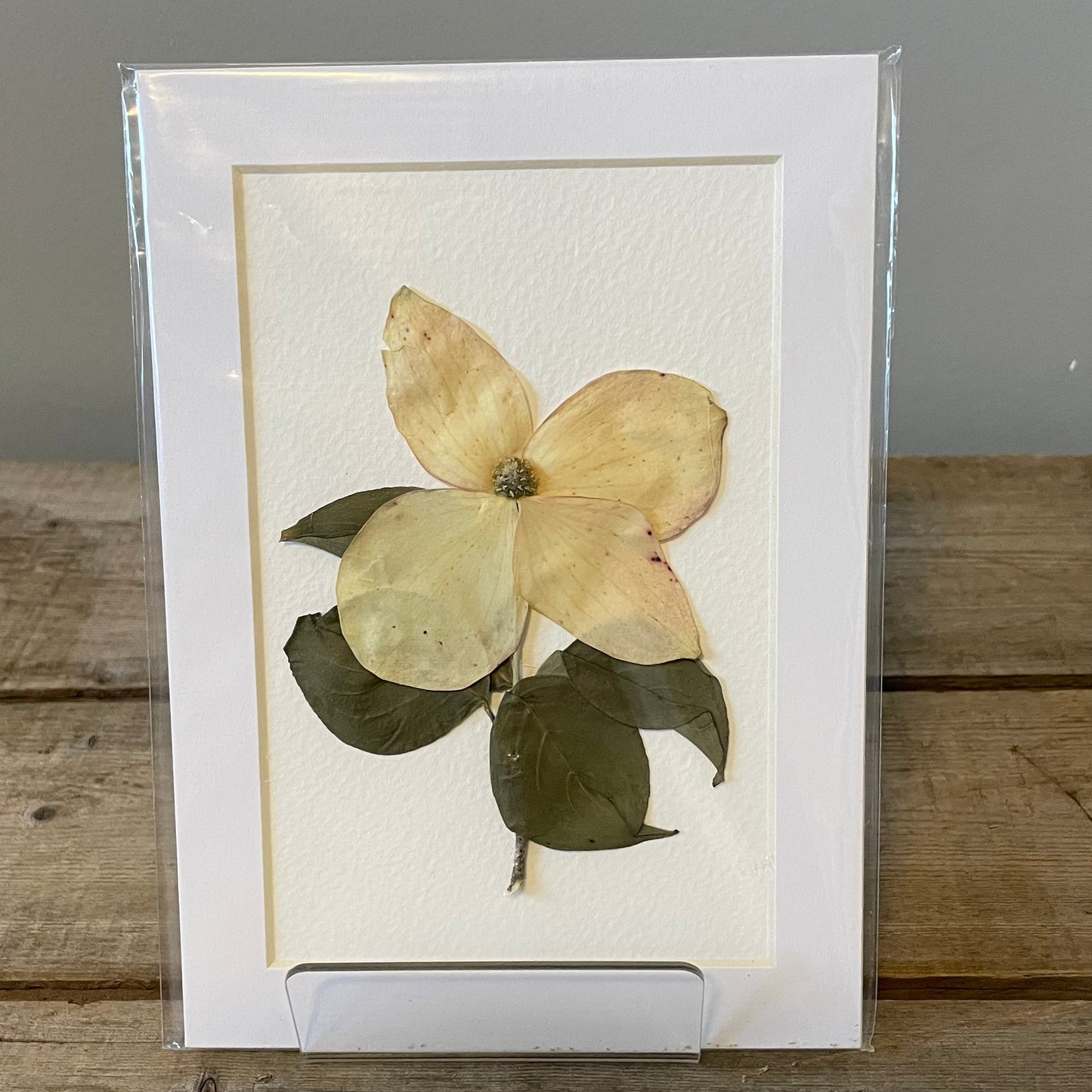 4"x6" Dogwood Blossom - Mini Original Artwork