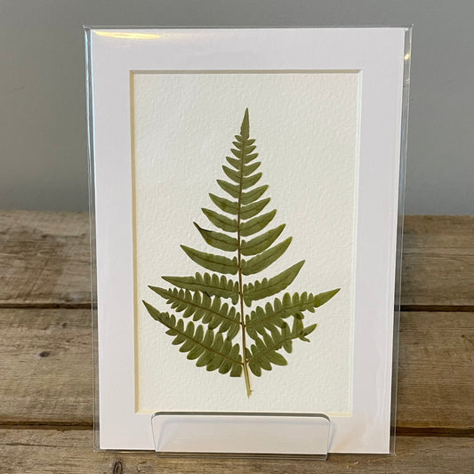 4"x6" Wild Fern - Mini Original Artwork