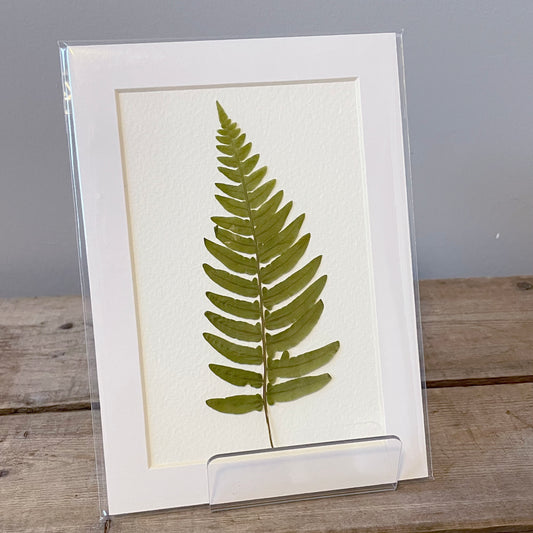 4"x6" Wild Fern - Mini Original Artwork