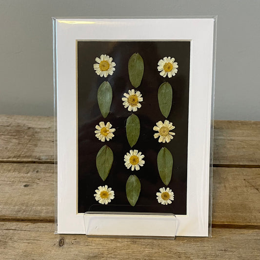 4"x6" Feverfew & Leaves - Mini Original Artwork