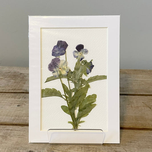 4"x6" Blue Violets- Mini Original Artwork