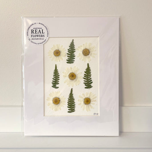 5"x7" Daisy & Fern - Original Artwork