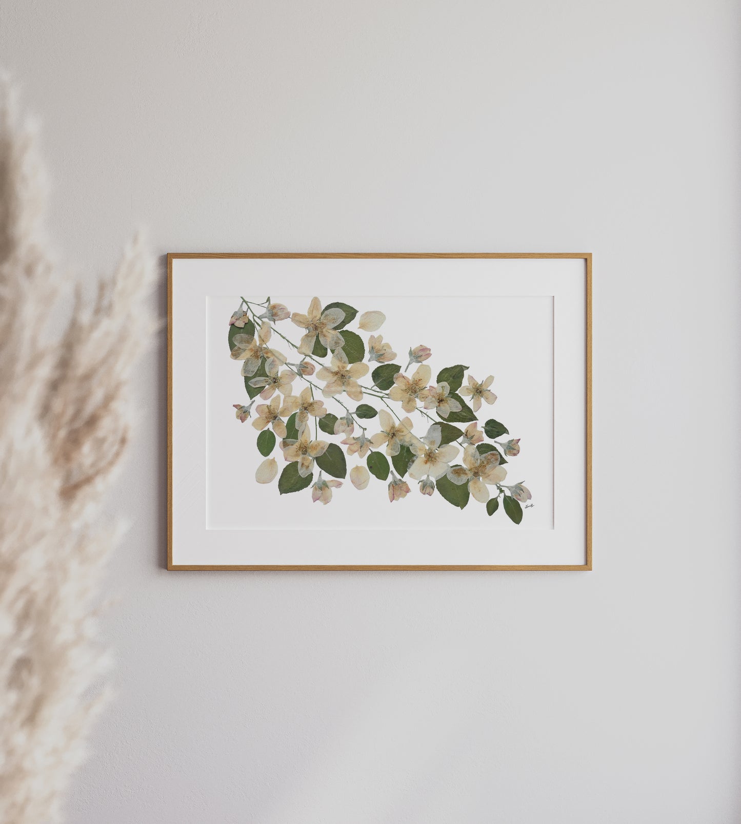 Apple Blossom Branch, Pressed Flower Art Print