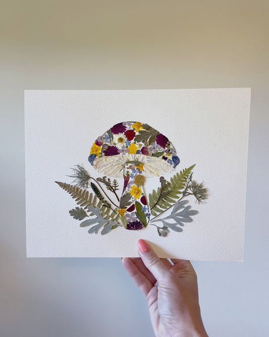 Mushroom - Original Pressed Flower Artwork Framed