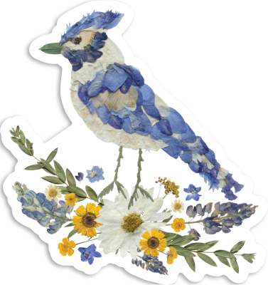 Blue Jay Pressed Flowers, Sticker 3"
