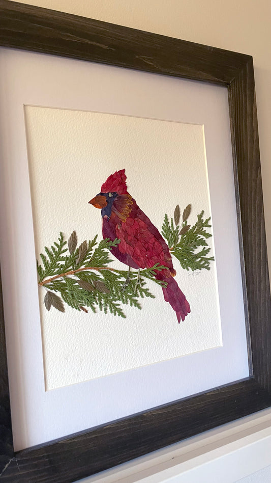 Cardinal - Original Pressed Flower Artwork Framed