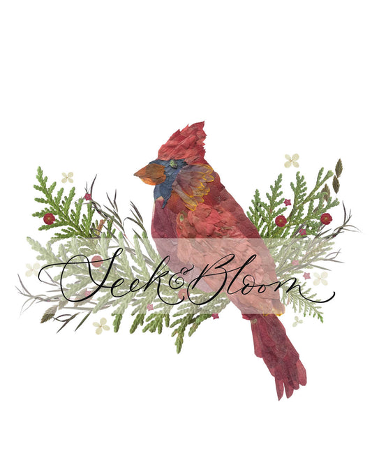 Cardinal, Pressed Flower Art Print