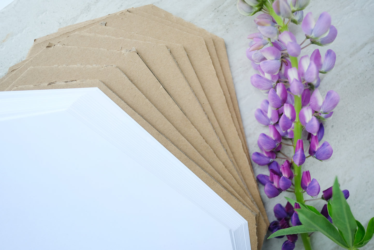 Refills - Heirloom Flower Press Inserts