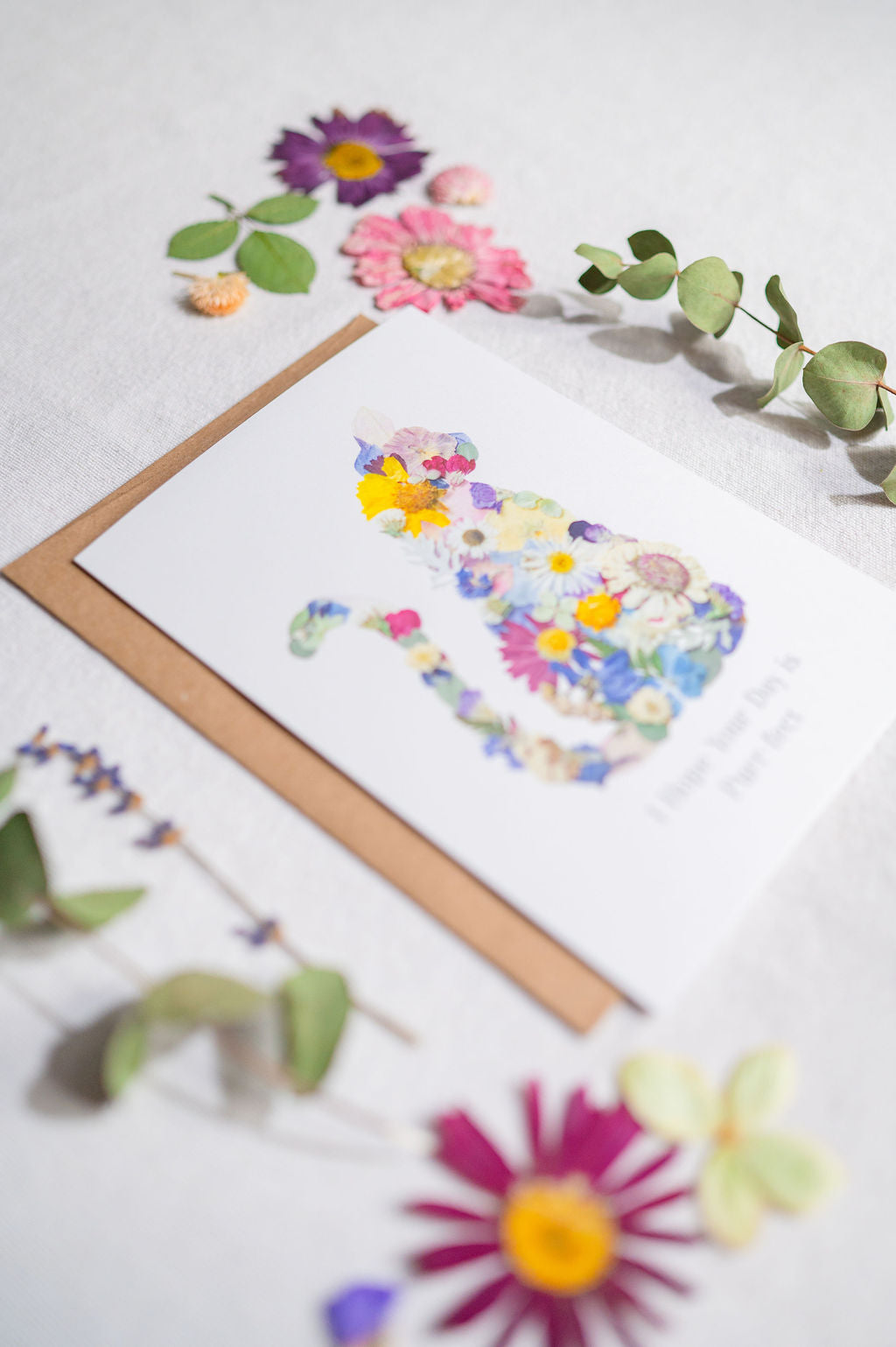 Cat Pressed Flower, I hope your day is Purr-fect, Card