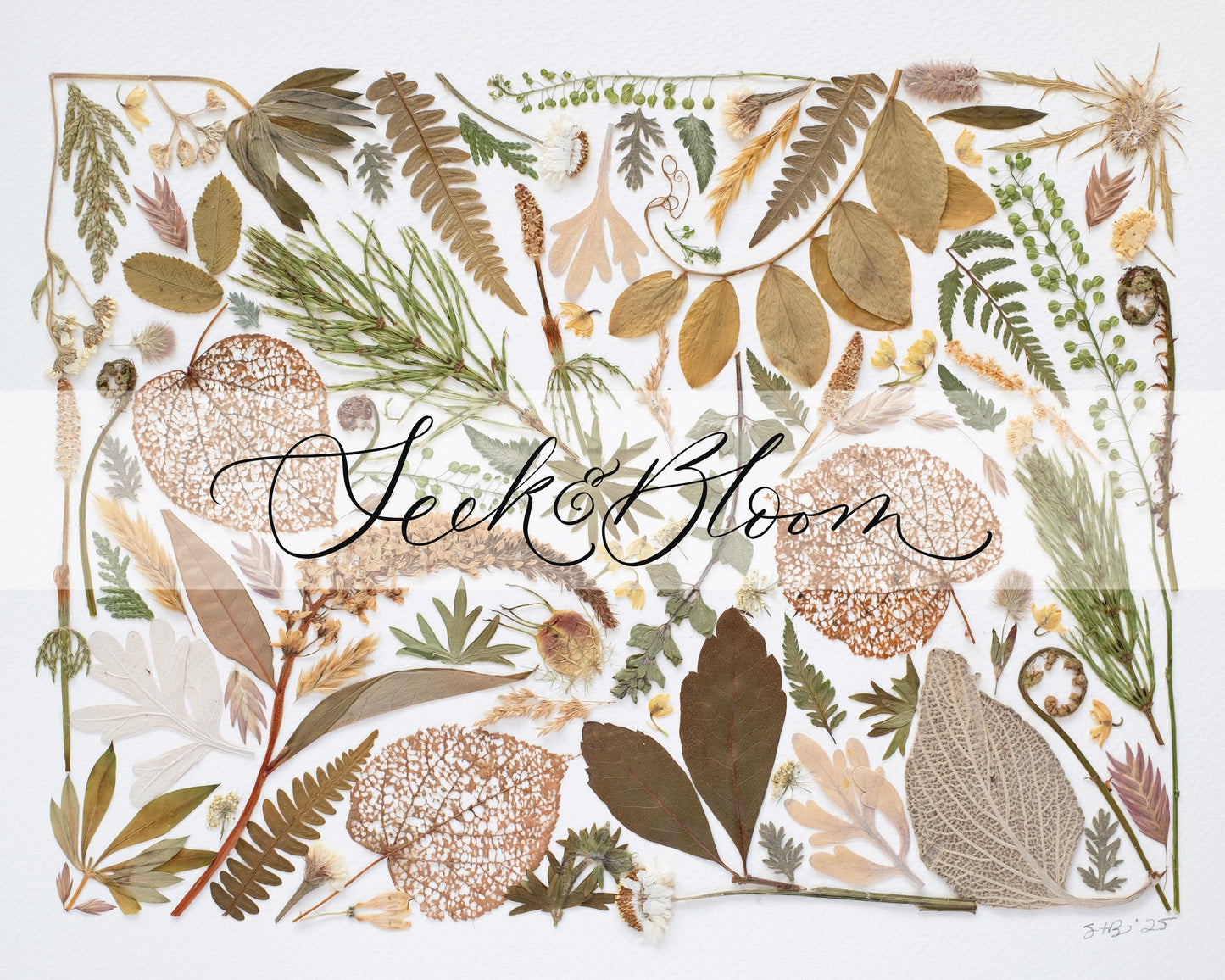 Earthlore, Pressed Flower Art Print