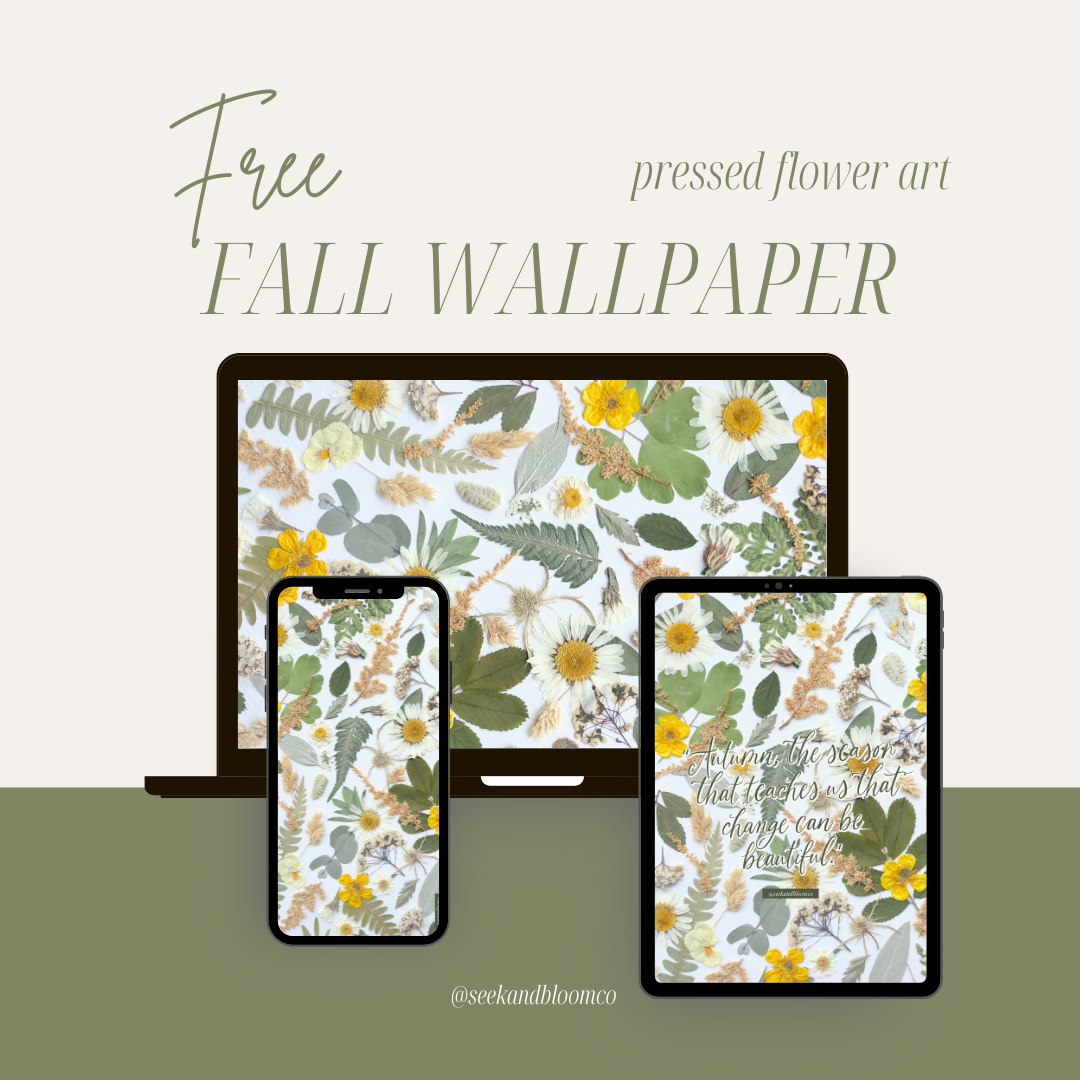 Fall Pressed Flower Art Wallpapers - Free Download