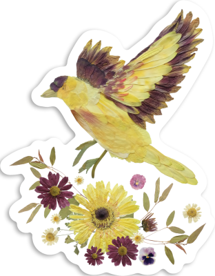 Finch Yellow Bird Pressed Flowers, Sticker 3"