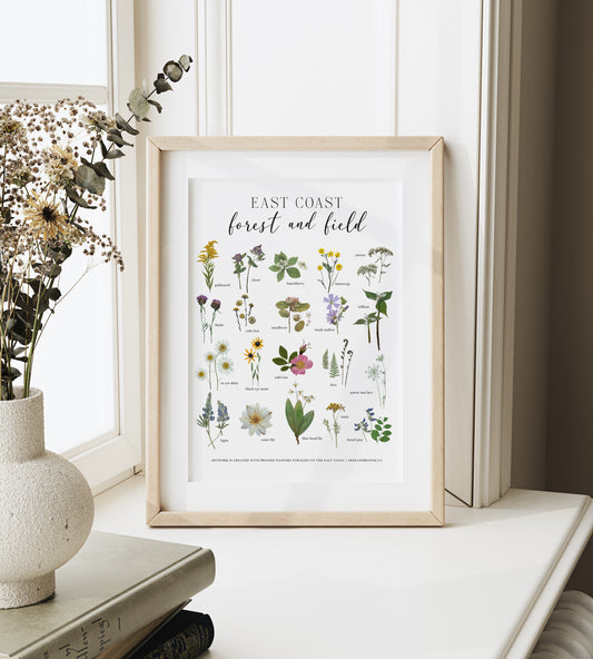 Forest and Field, East Coast Wildflowers, Pressed Flower 8x10 Art Print