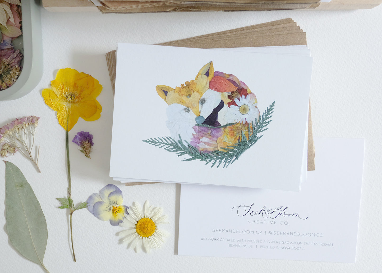 Fox Pressed Flower, Note Card Set